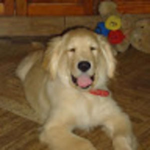 Meet your Posher, Gisela